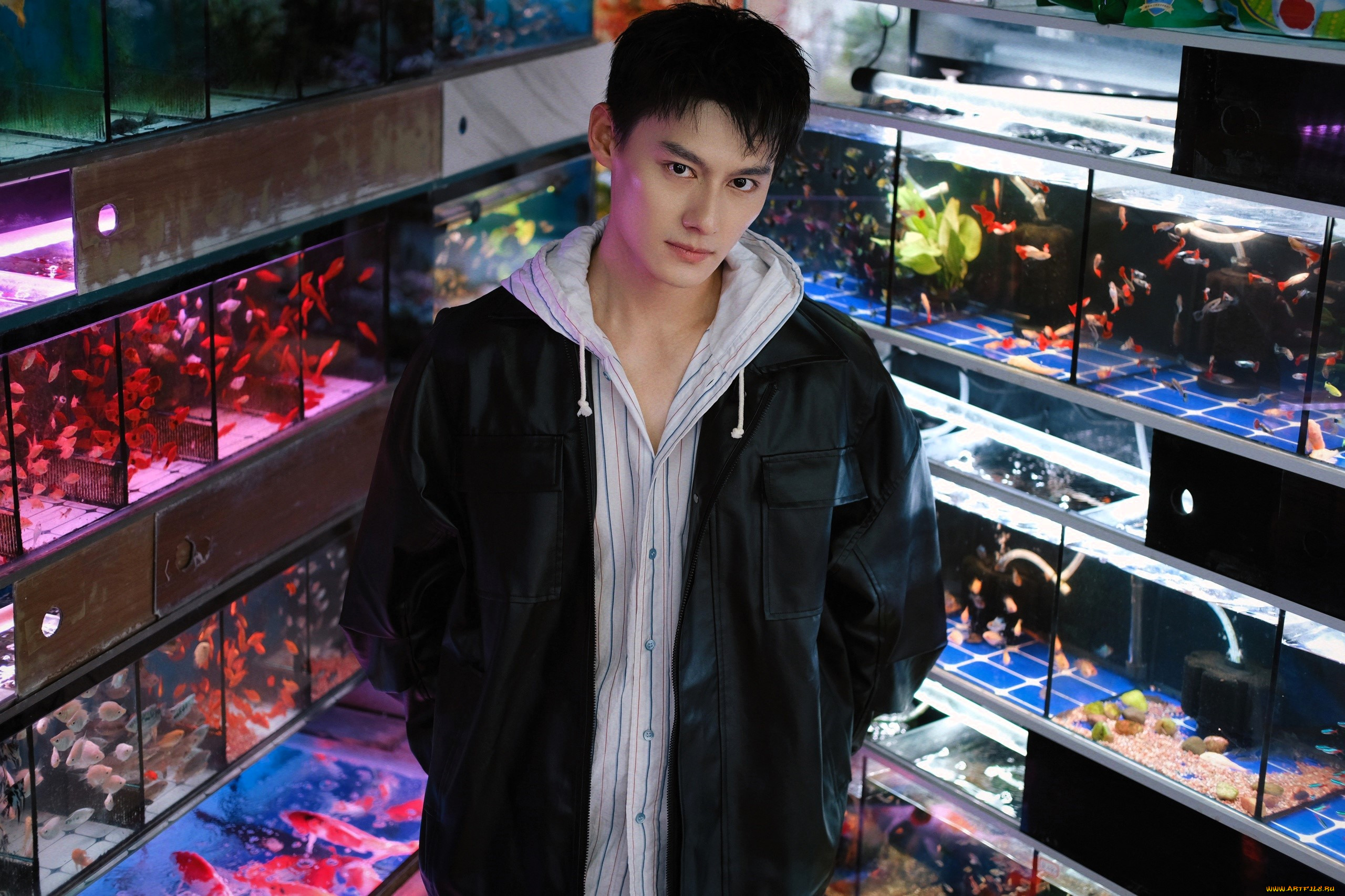, wang zhuocheng, , , , 